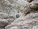 Sull'ottavo tiro 5b
