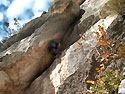 Sul III tiro di corda: larga fessura strapiombante prima di un bel diedro (6b, 6a)